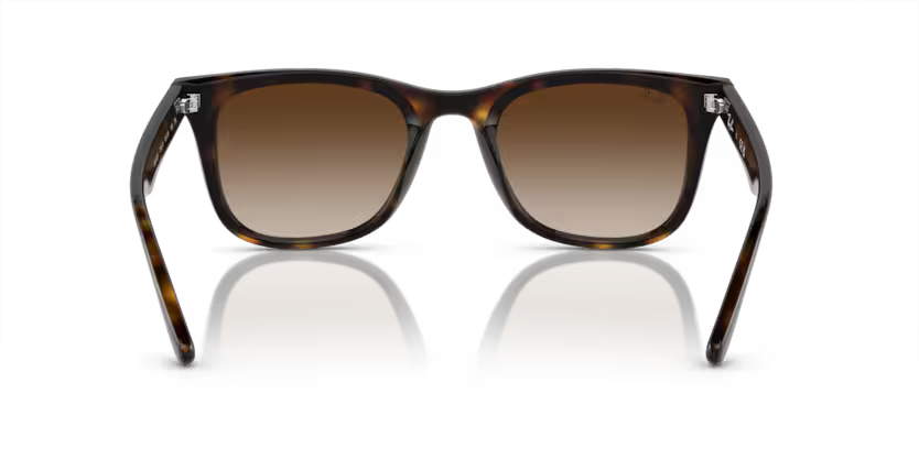 Ray-Ban 0RB4420