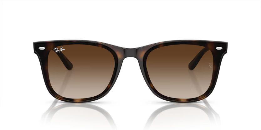 Ray-Ban 0RB4420