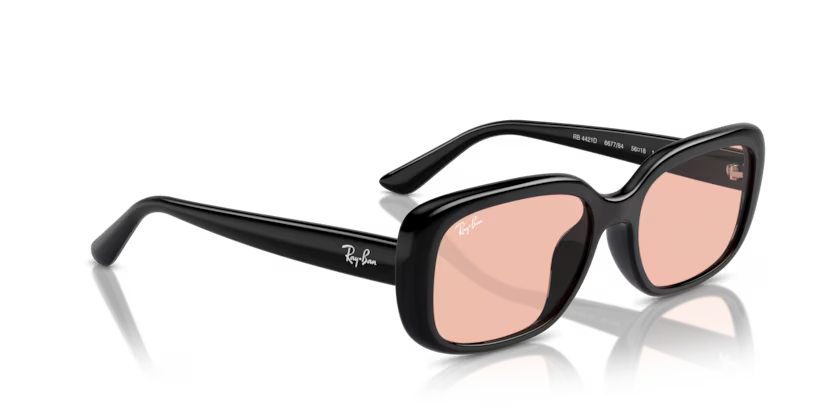 Ray-Ban 0RB4421D