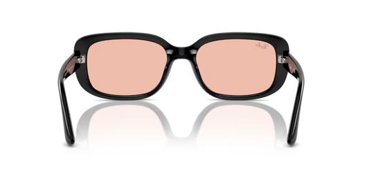 Ray-Ban 0RB4421D