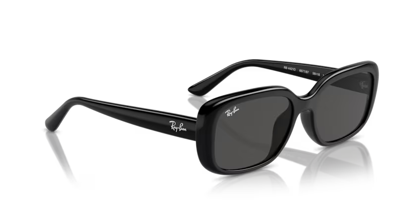 Ray-Ban 0RB4421D