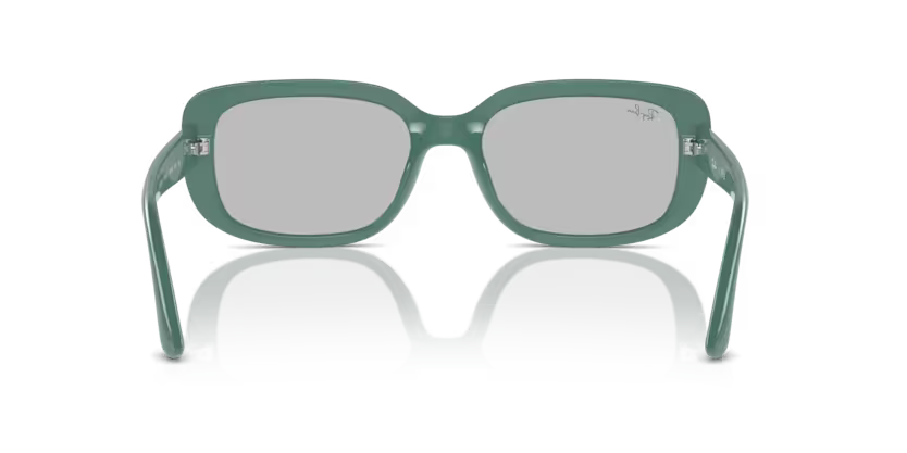 Ray-Ban 0RB4421D