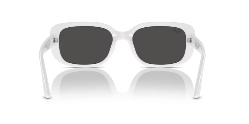 Ray-Ban 0RB4421D