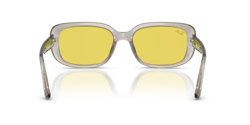 Ray-Ban 0RB4421D
