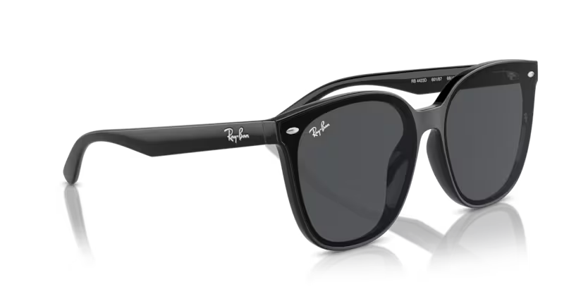 Ray-Ban 0RB4423D