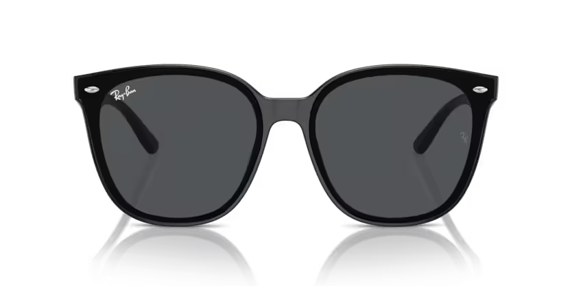 Ray-Ban 0RB4423D