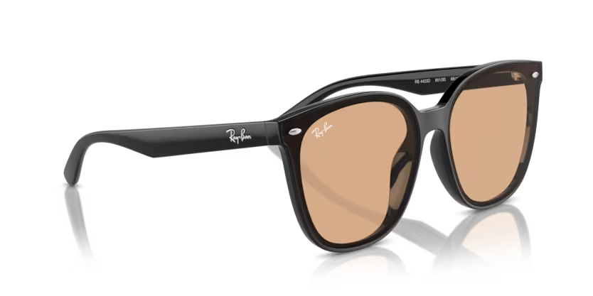 Ray-Ban 0RB4423D