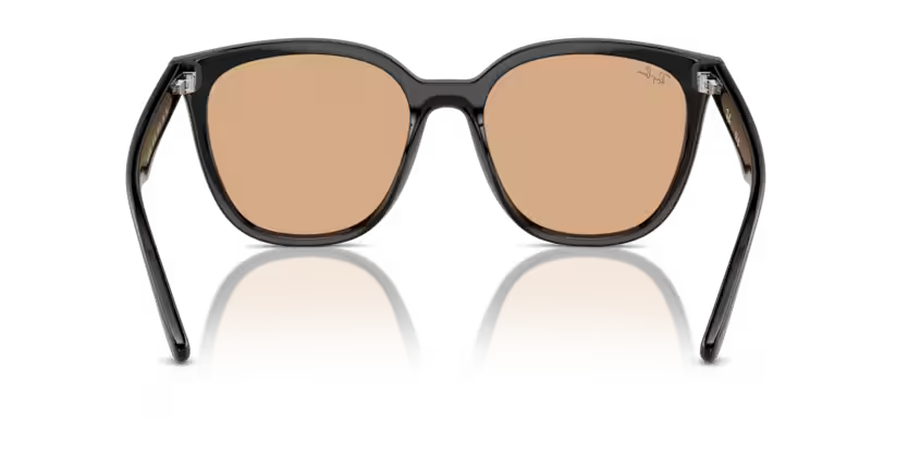 Ray-Ban 0RB4423D