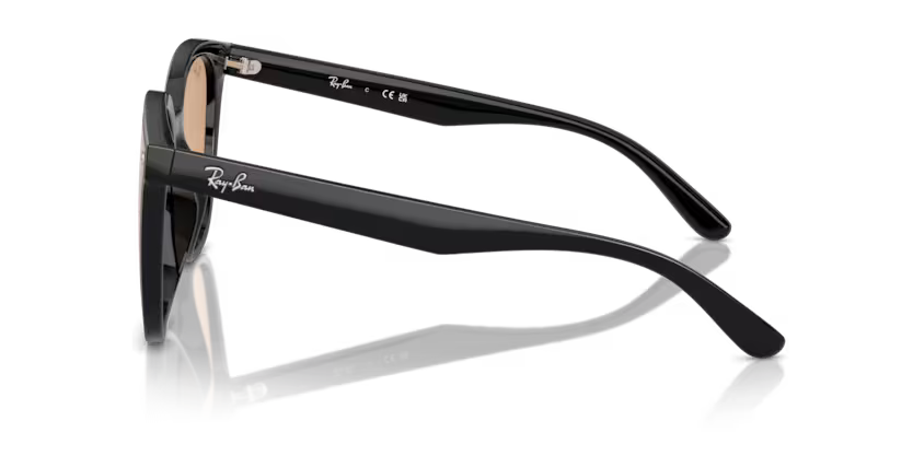Ray-Ban 0RB4423D