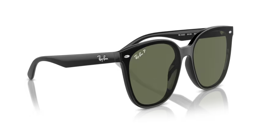 Ray-Ban 0RB4423D