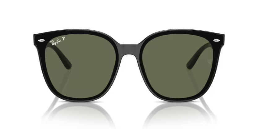 Ray-Ban 0RB4423D