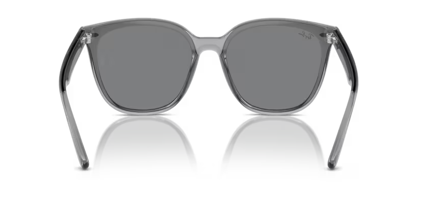 Ray-Ban 0RB4423D