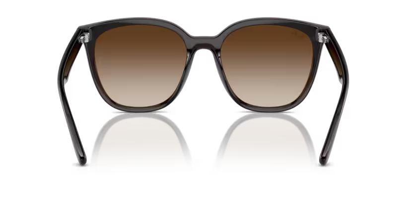 Ray-Ban 0RB4423D