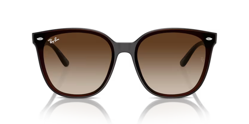 Ray-Ban 0RB4423D