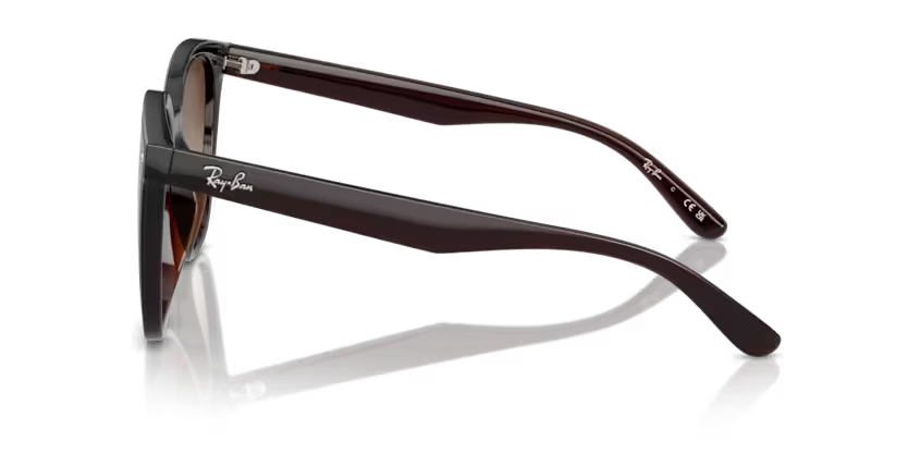 Ray-Ban 0RB4423D