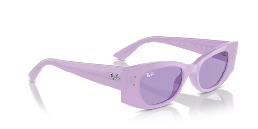 Ray-Ban 0RB4427