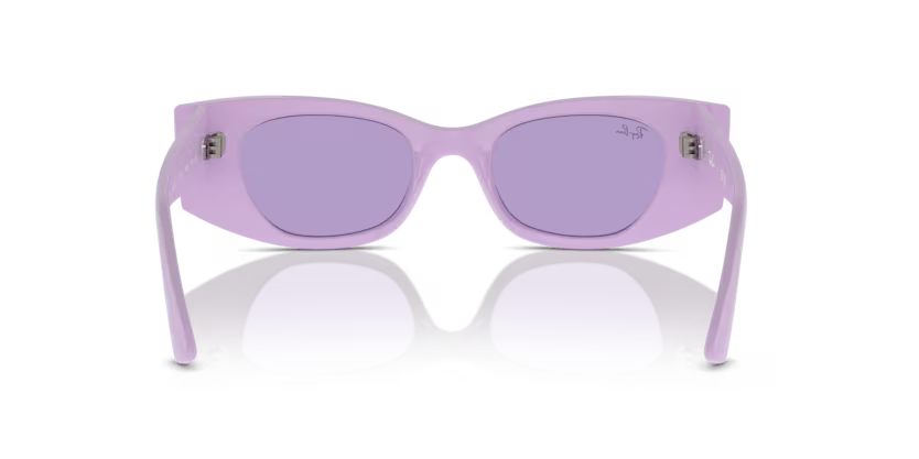 Ray-Ban 0RB4427