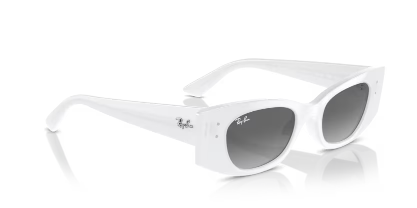 Ray-Ban 0RB4427
