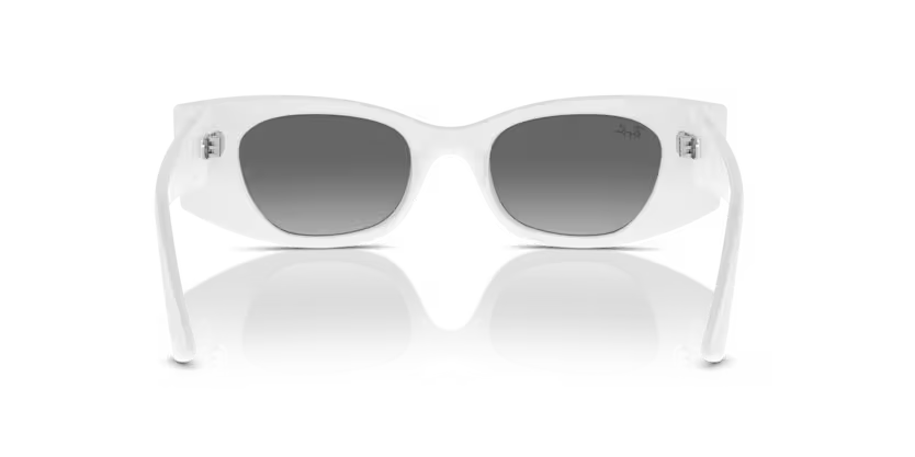 Ray-Ban 0RB4427