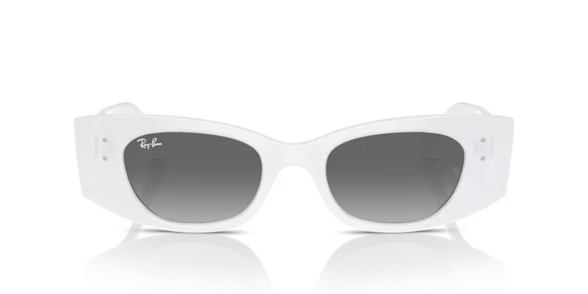 Ray-Ban 0RB4427