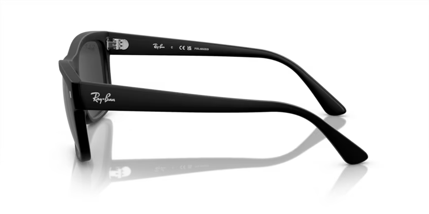 Ray-Ban 0RB4428
