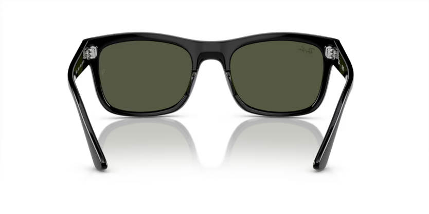 Ray-Ban 0RB4428