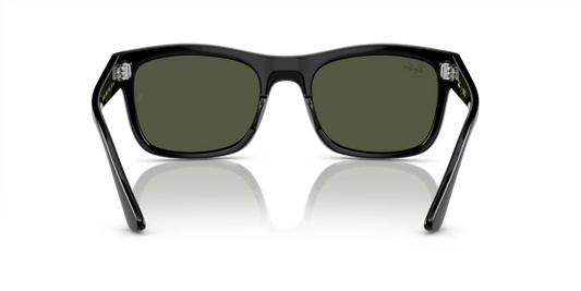 Ray-Ban 0RB4428