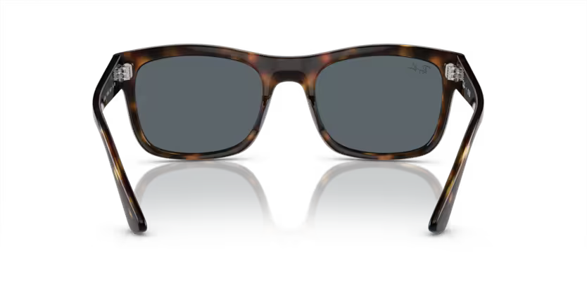 Ray-Ban 0RB4428