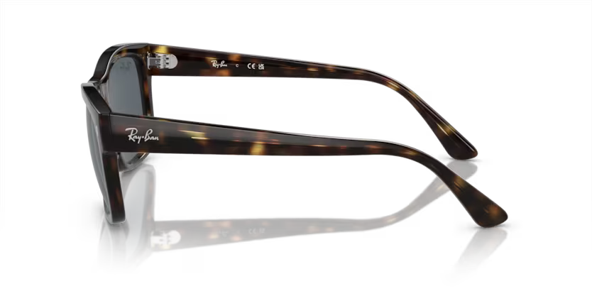 Ray-Ban 0RB4428