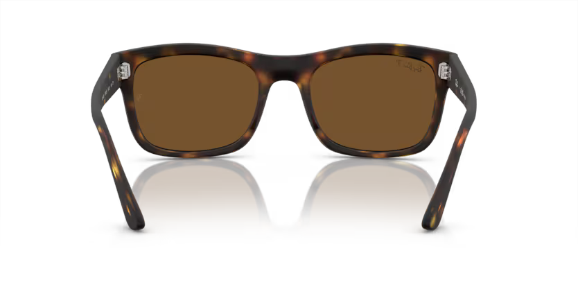 Ray-Ban 0RB4428