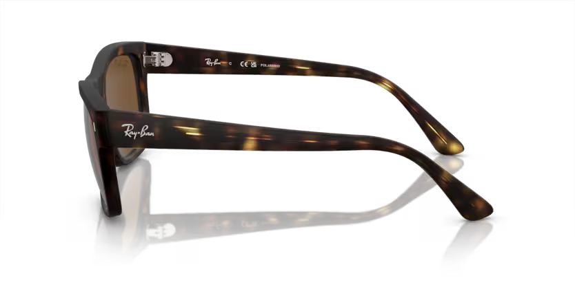 Ray-Ban 0RB4428