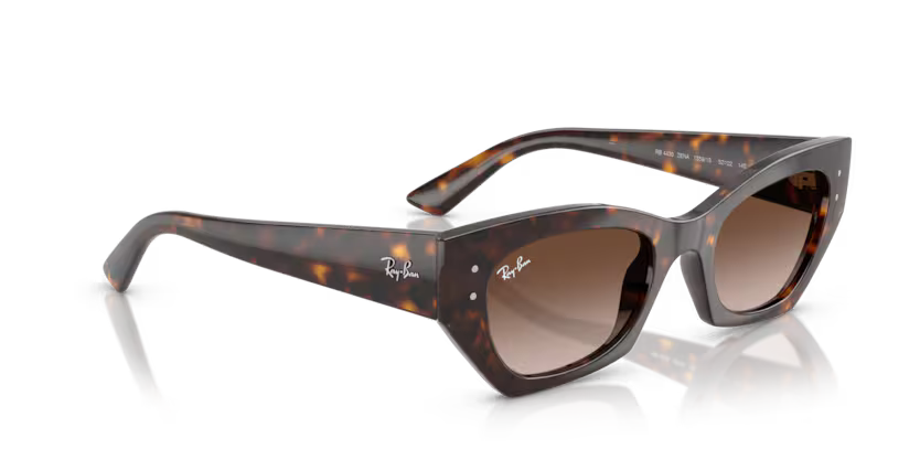Ray-Ban 0RB4430