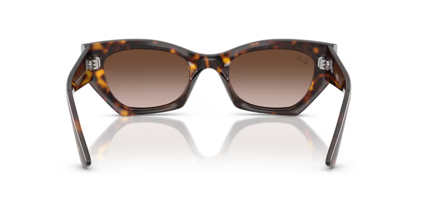 Ray-Ban 0RB4430
