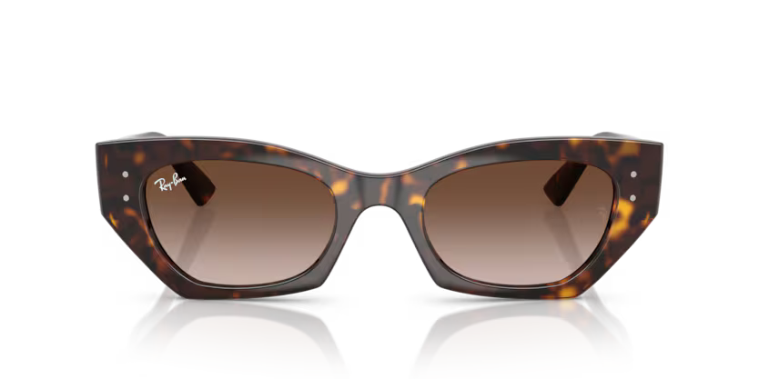 Ray-Ban 0RB4430