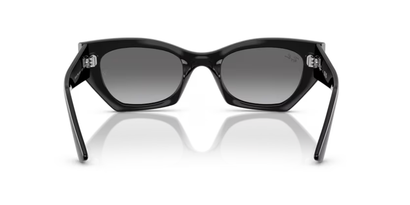 Ray-Ban 0RB4430