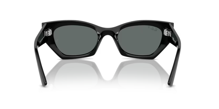 Ray-Ban 0RB4430