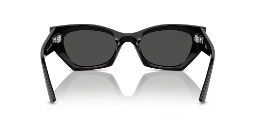 Ray-Ban 0RB4430