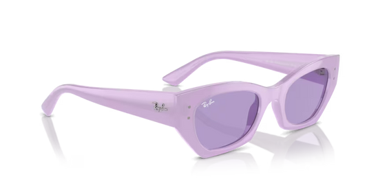 Ray-Ban 0RB4430
