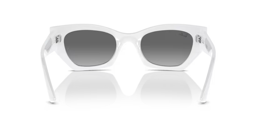 Ray-Ban 0RB4430
