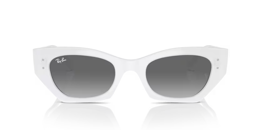 Ray-Ban 0RB4430