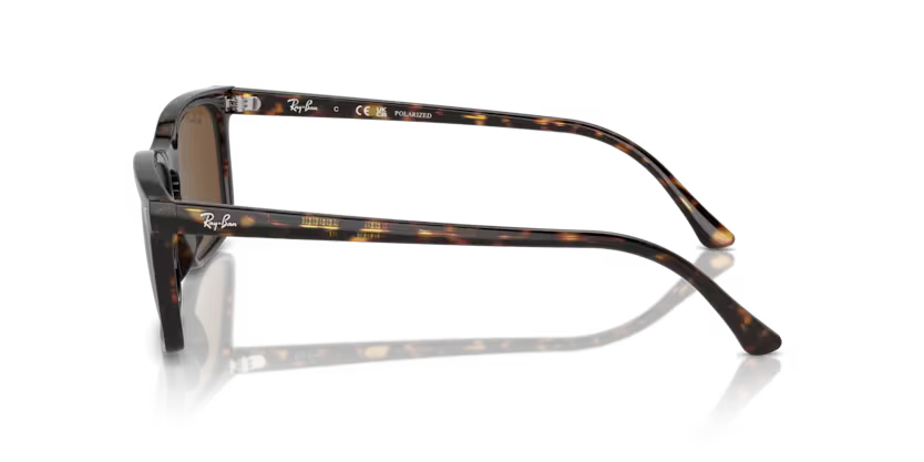 Ray-Ban 0RB4435