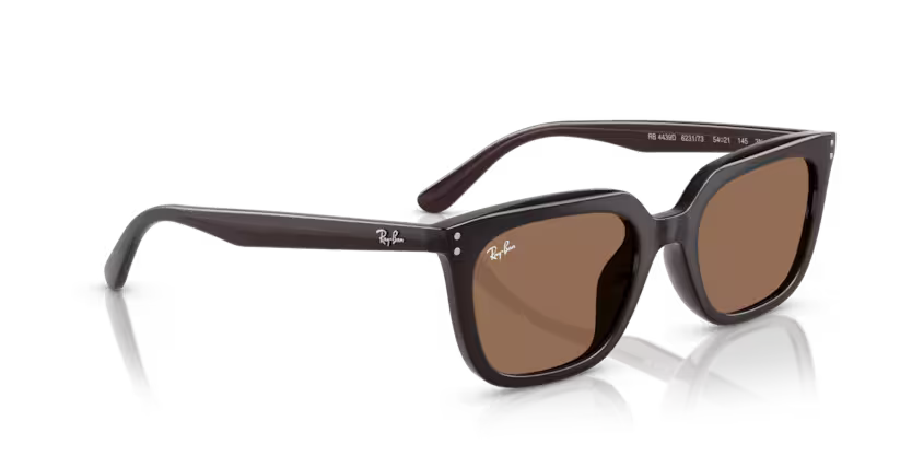 Ray-Ban 0RB4439D