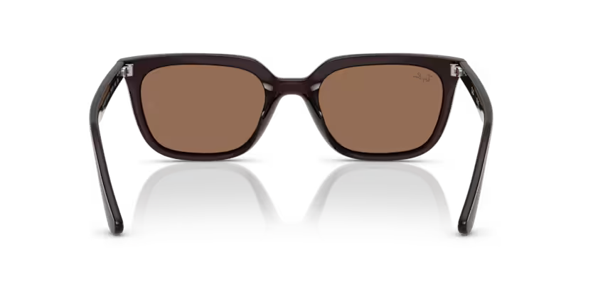 Ray-Ban 0RB4439D