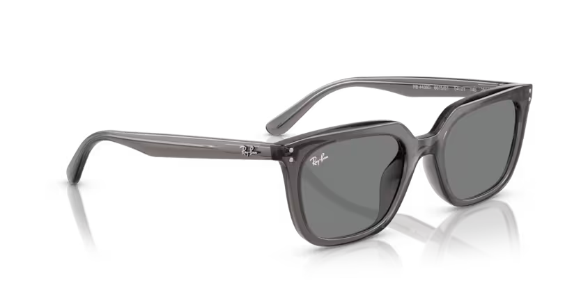 Ray-Ban 0RB4439D