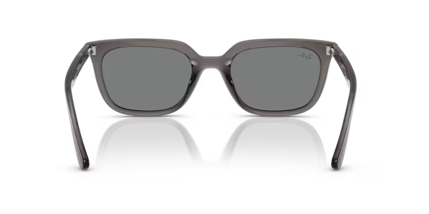 Ray-Ban 0RB4439D