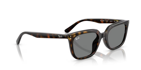 Ray-Ban 0RB4439D