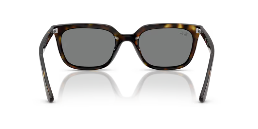 Ray-Ban 0RB4439D