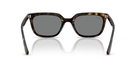 Ray-Ban 0RB4439D