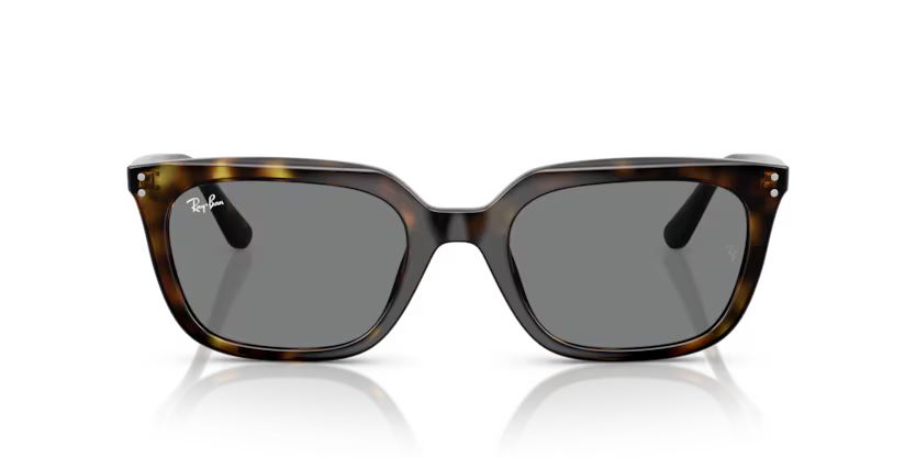 Ray-Ban 0RB4439D