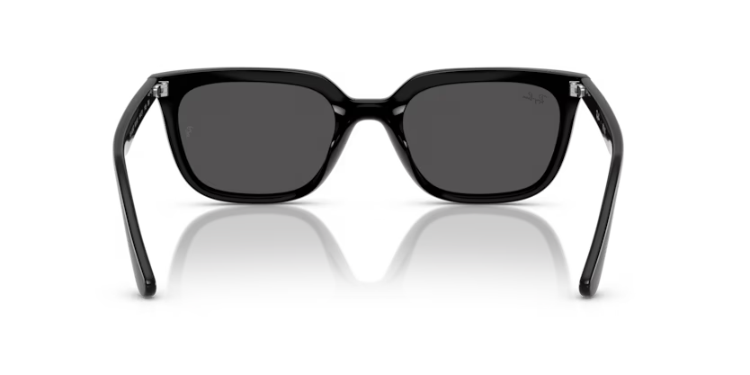 Ray-Ban 0RB4439D